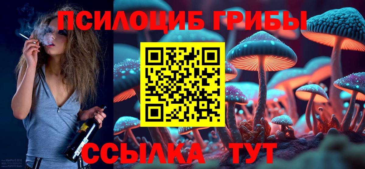 Шахты  Псилоцибиновые грибы Magic Shrooms  Вход с VPN  Псилоцибиновые грибы Psilocybine cubensis 